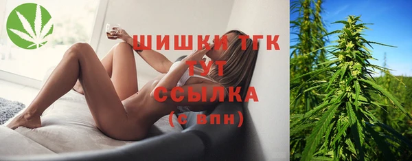 спайс Пересвет