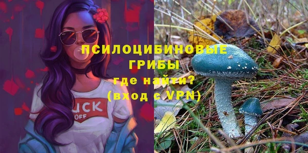 прущий лед Переславль-Залесский
