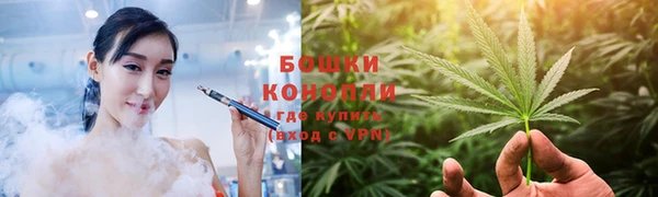 спайс Пересвет