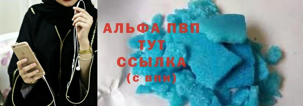 спайс Пересвет