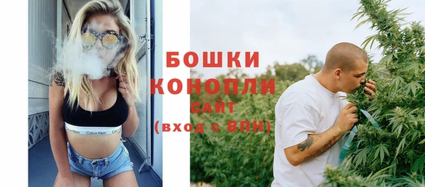спайс Пересвет