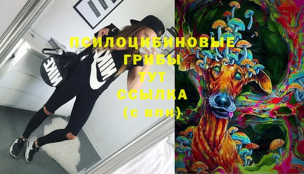 прущий лед Переславль-Залесский