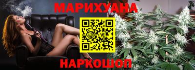 Альфа ПВП Можга