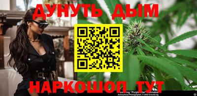 Альфа ПВП Можга