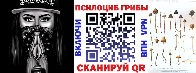 Галлюциногенные грибы мицелий  Шали 