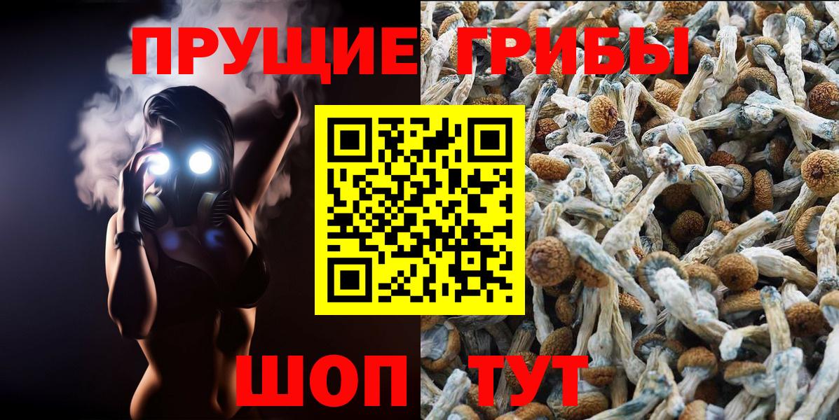 Псилоцибиновые грибы Cubensis Шали
