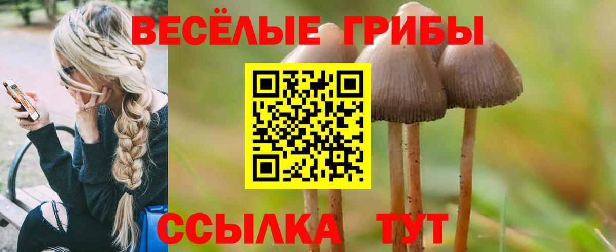 Шали  купить  сайты  Вход с VPN  Галлюциногенные грибы Psilocybine cubensis 
